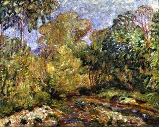 Landschap in de Midi