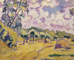 Landschap met hooibergen