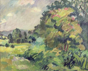 Normandië landschap