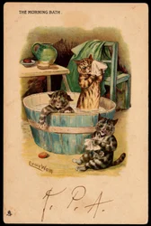 Het ochtendbad. Dieren in menselijke houding. Katten nemen een bad in een teil. Ansichtkaart. Chromolithografie van Louis Wain (1860-1939), Engelse kunstenaar bekend om zijn weergave van katten met grote ogen. Begin 20e eeuw. Collectie