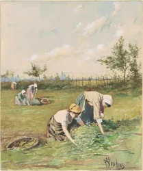 Arenlezers in het Veld