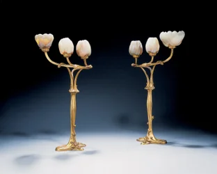 Magnolia lampen