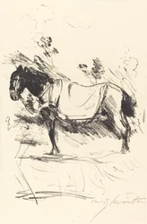 Rijpaard, 1916