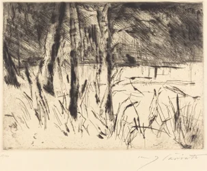 Tiergarten Dierentuin, 1922