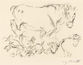 Verschiedene Tierstudien, 1917