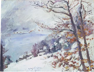 De Walchensee in de winter