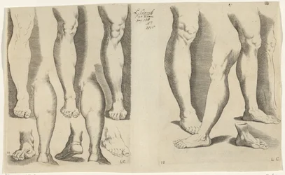 Studies van benen