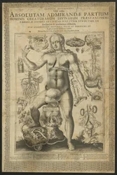 Derde Visioen, uit Spiegels van de Microkosmos