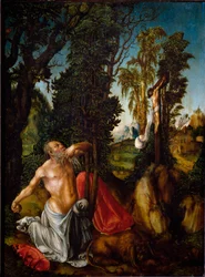 Sint Hiëronymus in boetedoening