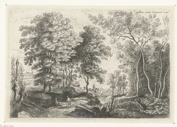 Landschap met een beek door een bos