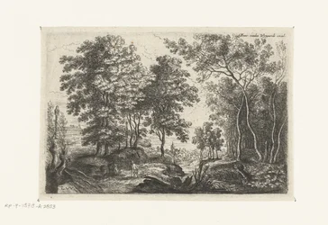 Landschap met een beek door een bos