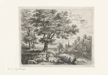 Landschap met een herder