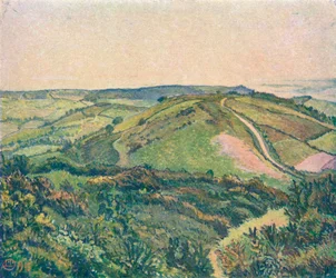 Uitzicht vanaf de heuvel, visvijver