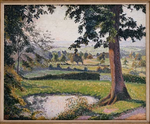 Gunville Vijver, Sedgeville