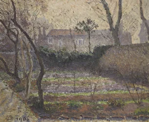 Rijp, Chiswick, 1906