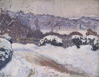 De Dorking Road, Coldharbour, in de sneeuw