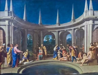 De Probatic Pool