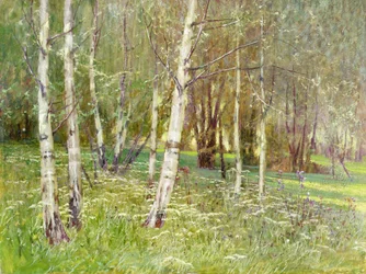 Een bebost landschap