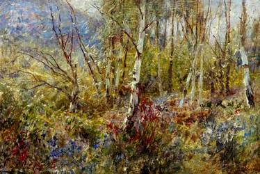Boslandschap