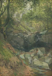 Stroom in het Bos