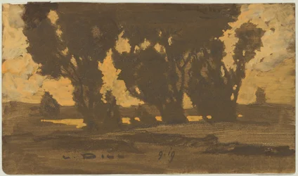Wilgen in het moeraslandschap van Dachau