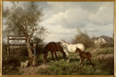 Op het platteland