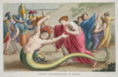 Cadmus verandert in een slang of Cadmo Transformato in Serpe, boek IV, illustratie uit Ovidius