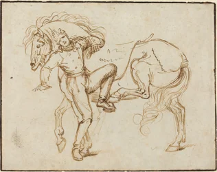 Ruiter die een Paard Beklimt