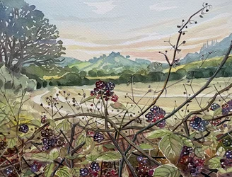 Landschap met rijpe bramen