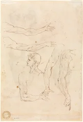 Schetsen van Vijf Armen en een Hoofd verso, midden 1500s