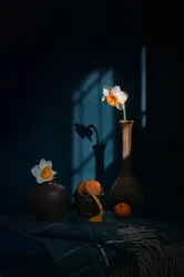 Narcissen, citrusvruchten en schaduwen