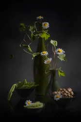 Madeliefjes en verse producten
