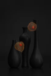 Elegant zwart stilleven met physalis