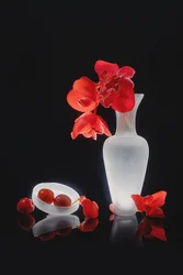 Elegant rood stilleven