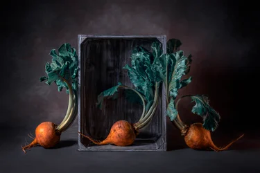 Rustiek stilleven met gouden bieten