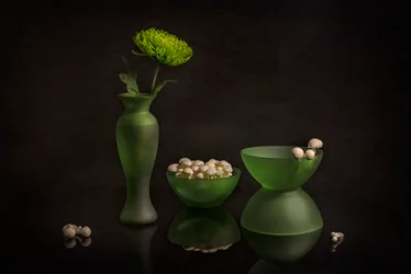 Groene bloei en glas
