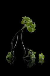 Weerspiegeling van groene bloemen