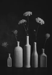 Monochroom botanisch stilleven