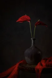 Moody Red Anthuriums