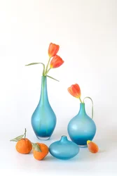 Oranje tulpen in blauwe vazen