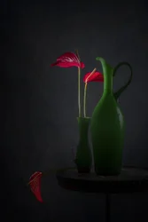 Rode anthuriums, groene vazen