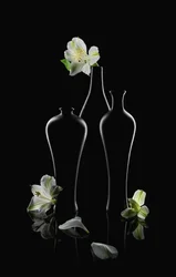 Witte bloemen, donkere vazen