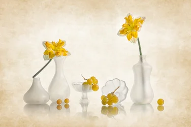 Gele narcissen en druiven