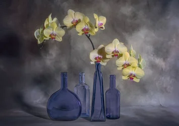 Gele orchideeën, blauw glas