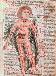 Geneeskunde: invloed van de dierenriem op menselijke ziekten (miniatuur)