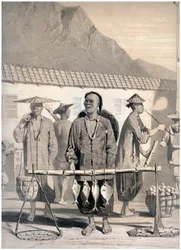 Vishandelaren, Victoria Street, Hong Kong, China, ca. 1860
