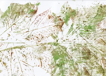 Abstract blad