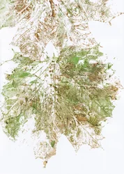 Herfstbladerenprint