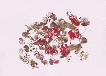 Aardse bloemenimpressies