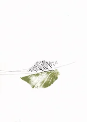 Groene bladeren, kale takken